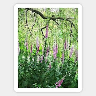 Foxgloves photograph Sticker